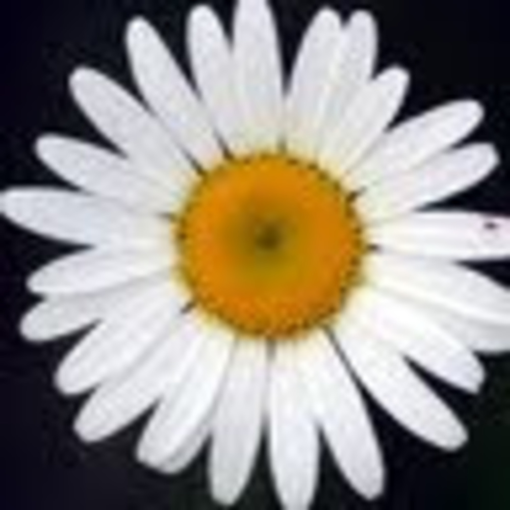 Meet your Posher, Leanne